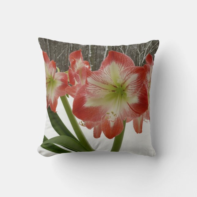 Amaryllis in Snow Red Holiday Winter Floral Throw Pillow (Front)