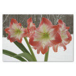 Amaryllis in Snow Red Holiday Winter Floral Tissue Paper