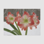 Amaryllis in Snow Red Holiday Winter Floral Tissue Paper
