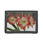 Amaryllis in Snow Red Holiday Winter Floral Trifold Wallet
