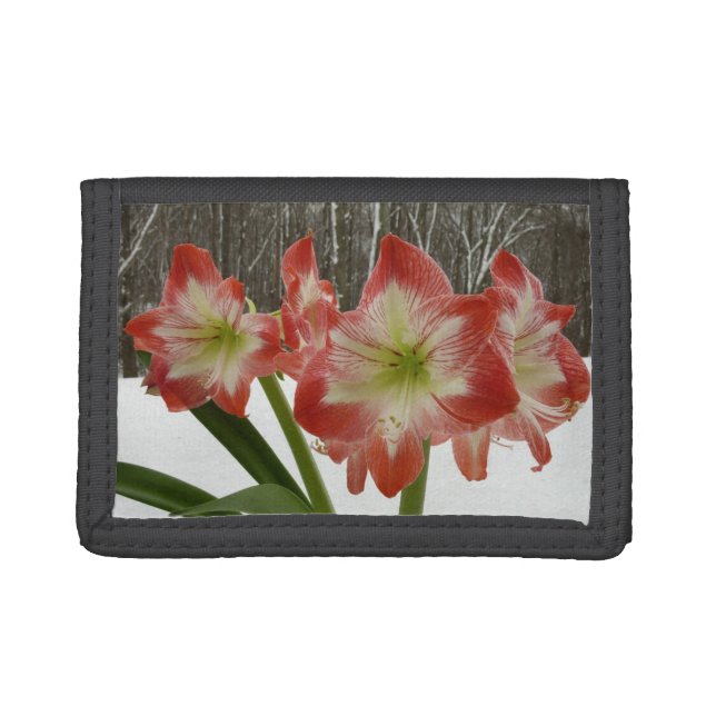Amaryllis in Snow Red Holiday Winter Floral Trifold Wallet (Front)