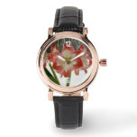 Amaryllis in Snow Red Holiday Winter Floral Watch