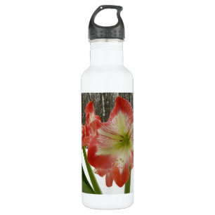 Amaryllis in Snow Red Holiday Winter Floral Water Bottle
