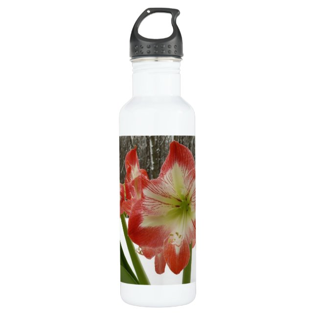 Amaryllis in Snow Red Holiday Winter Floral Water Bottle (Front)