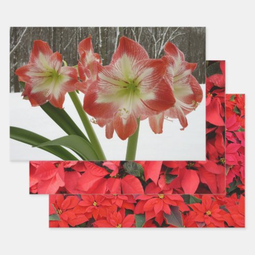 Amaryllis in Snow Red Holiday Winter Floral Wrapping Paper Sheets