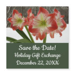 Amaryllis in Snow Red Holiday Winter Save the Date