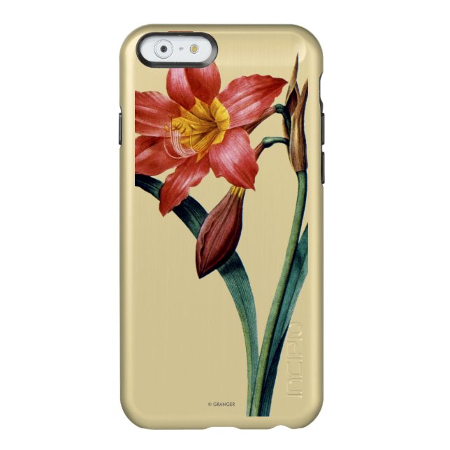 Amaryllis Incipio iPhone Case (Back)
