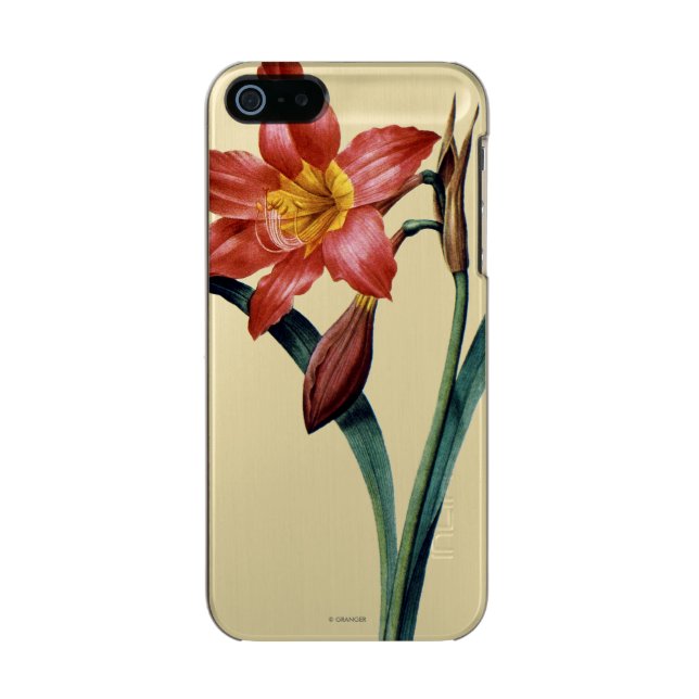 Amaryllis Incipio iPhone Case (Back)