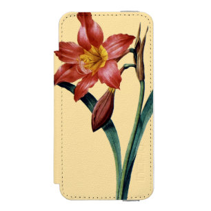 Amaryllis iPhone SE/5/5s Wallet Case