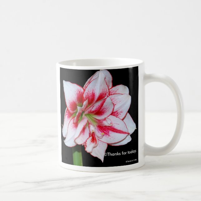 Amaryllis mug (Right)