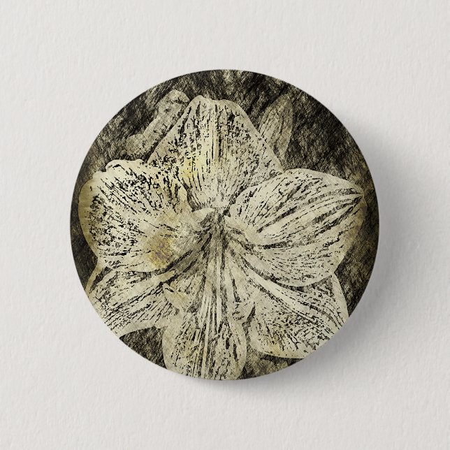 Amaryllis Old Time Sketch Pinback Button (Front)