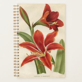 Amaryllis Pocket Size Journal Planner