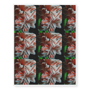 Amaryllis Portrait Temporary Tattoos