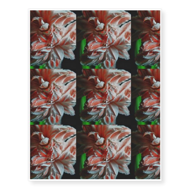 Amaryllis Portrait Temporary Tattoos (Front)