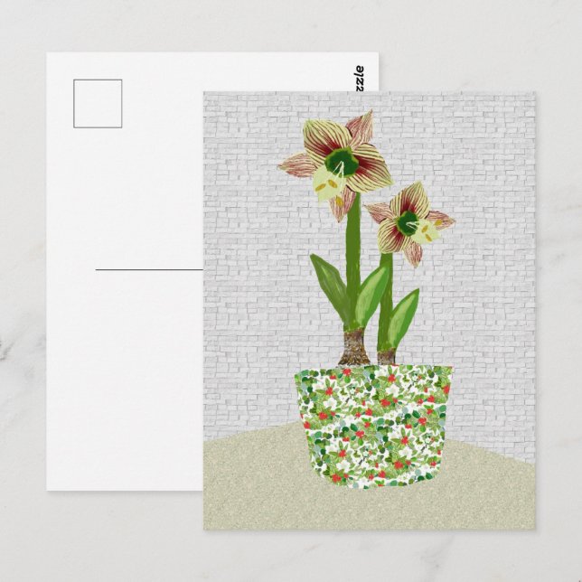 Amaryllis  Postcard (Front/Back)