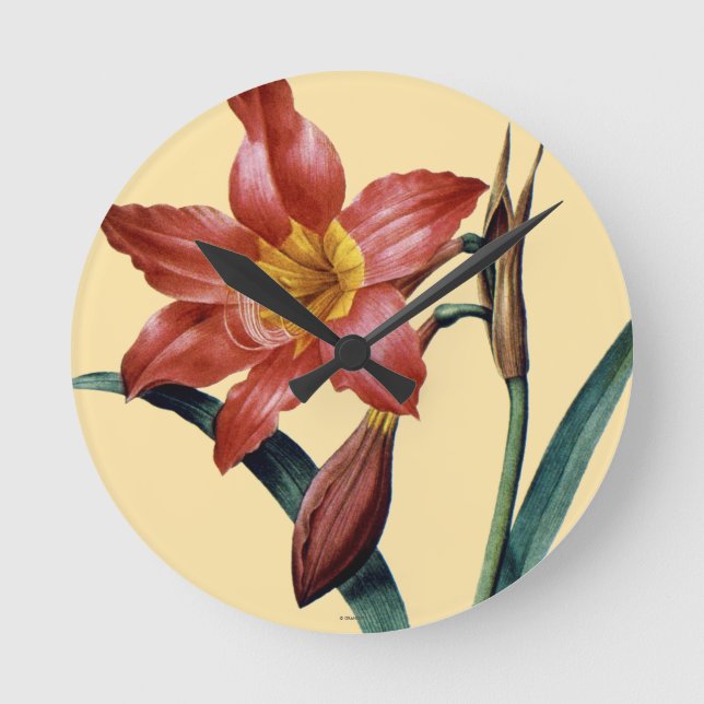 Amaryllis Round Clock (Front)