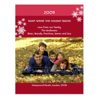 Amaryllis Snowflakes :: Christmas Photo Postcard