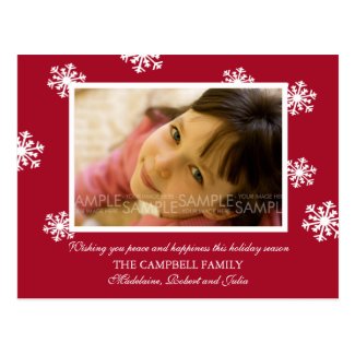 Amaryllis Snowflakes :: Christmas Photo Postcard