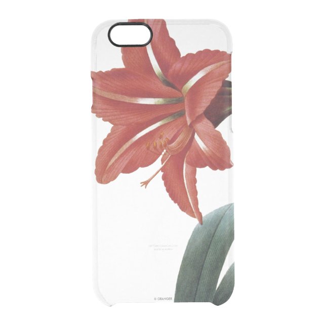 Amaryllis Striped Uncommon iPhone Case (Back)