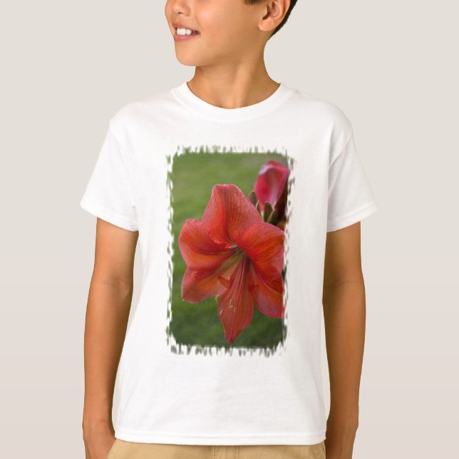 Amaryllis T-Shirt (Front)