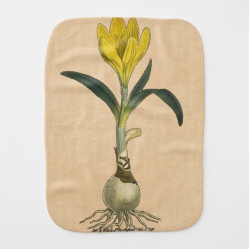 Amaryllis Tulip Botanical Garden Flower Baby Burp Cloth