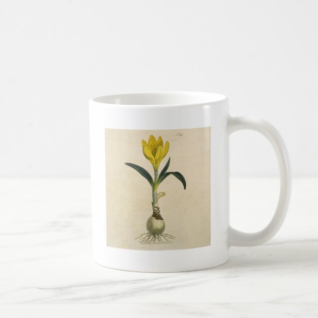 Amaryllis Tulip Botanical Garden Flower Coffee Mug (Right)