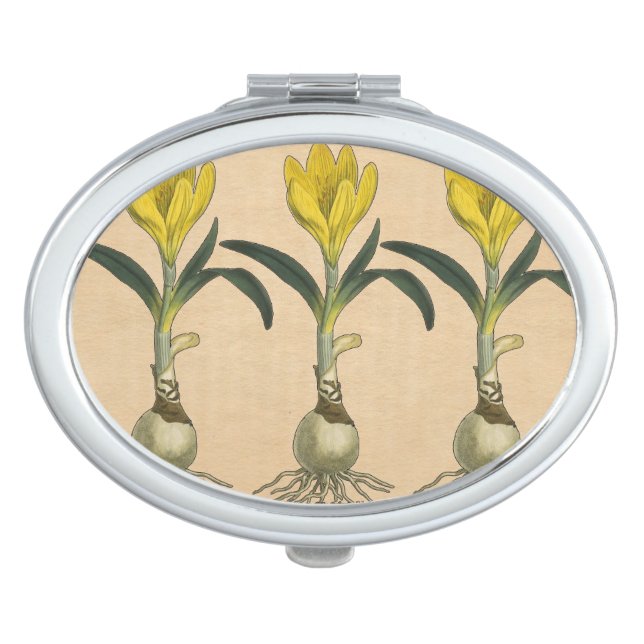 Amaryllis Tulip Botanical Garden Flower Compact Mirror (Front)