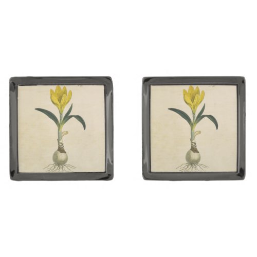 Amaryllis Tulip Botanical Garden Flower Cufflinks