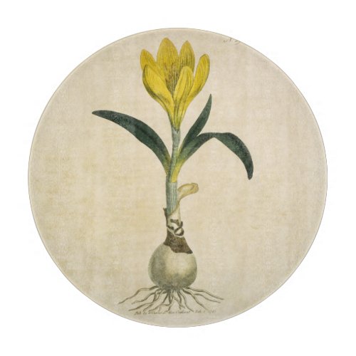Amaryllis Tulip Botanical Garden Flower Cutting Board