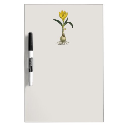Amaryllis Tulip Botanical Garden Flower Dry_Erase Board