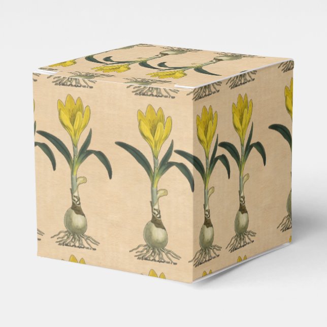 Amaryllis Tulip Botanical Garden Flower Favor Boxes (Front Side)