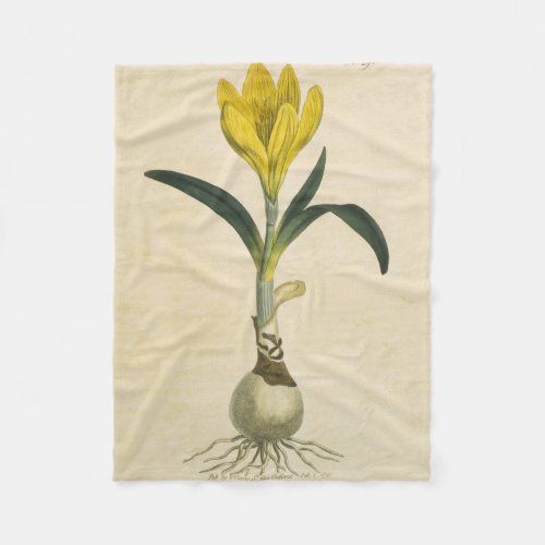 Amaryllis Tulip Botanical Garden Flower Fleece Blanket