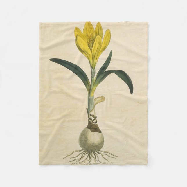 Amaryllis Tulip Botanical Garden Flower Fleece Blanket (Front)
