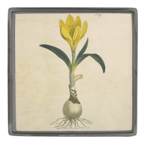 Amaryllis Tulip Botanical Garden Flower Gunmetal Finish Lapel Pin