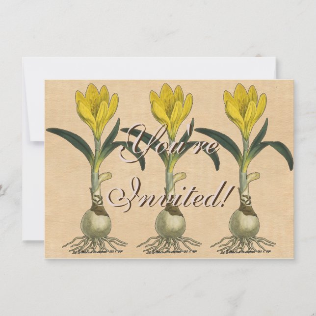 Amaryllis Tulip Botanical Garden Flower Invitation (Front)
