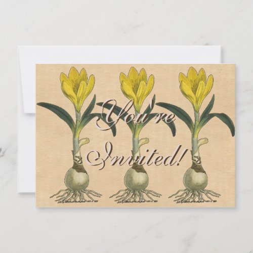 Amaryllis Tulip Botanical Garden Flower Invitation