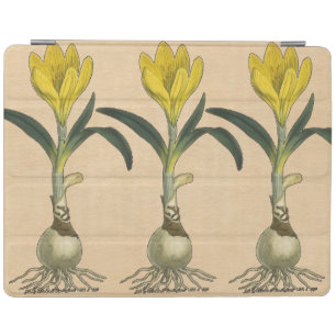 Amaryllis Tulip Botanical Garden Flower iPad Smart Cover