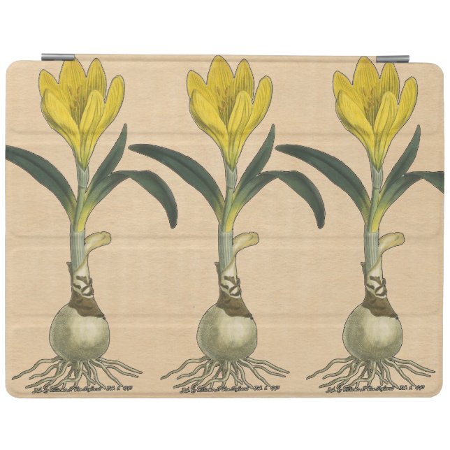 Amaryllis Tulip Botanical Garden Flower iPad Smart Cover (Horizontal)