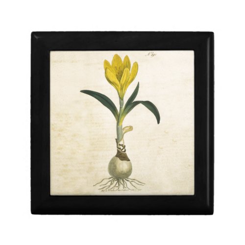 Amaryllis Tulip Botanical Garden Flower Keepsake Box