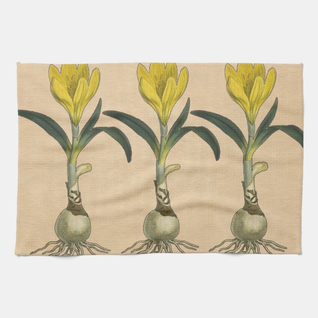 Amaryllis Tulip Botanical Garden Flower Kitchen Towel (Horizontal)