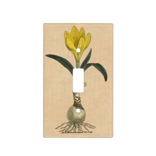 Amaryllis Tulip Botanical Garden Flower Light Switch Cover