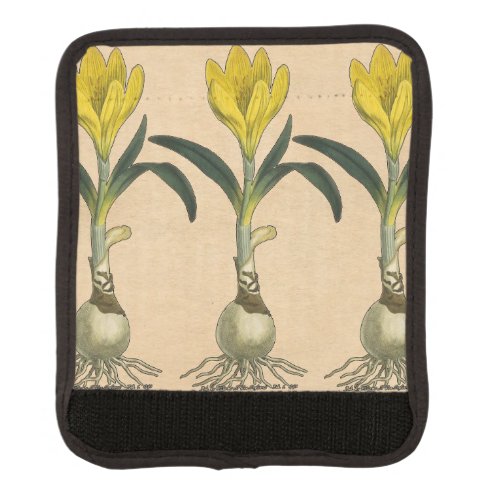 Amaryllis Tulip Botanical Garden Flower Luggage Handle Wrap