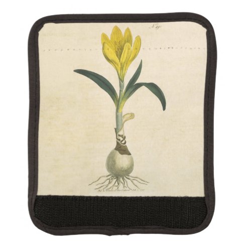 Amaryllis Tulip Botanical Garden Flower Luggage Handle Wrap