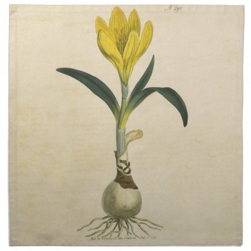 Amaryllis Tulip Botanical Garden Flower Napkin