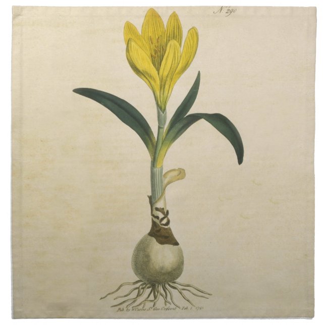 Amaryllis Tulip Botanical Garden Flower Napkin (Front)