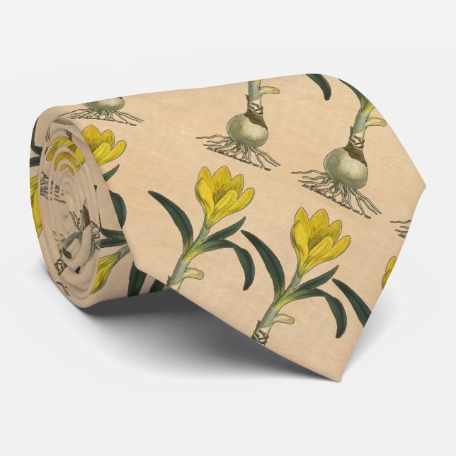 Amaryllis Tulip Botanical Garden Flower Neck Tie (Rolled)