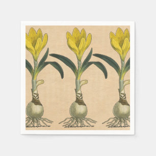 Amaryllis Tulip Botanical Garden Flower Paper Napkins