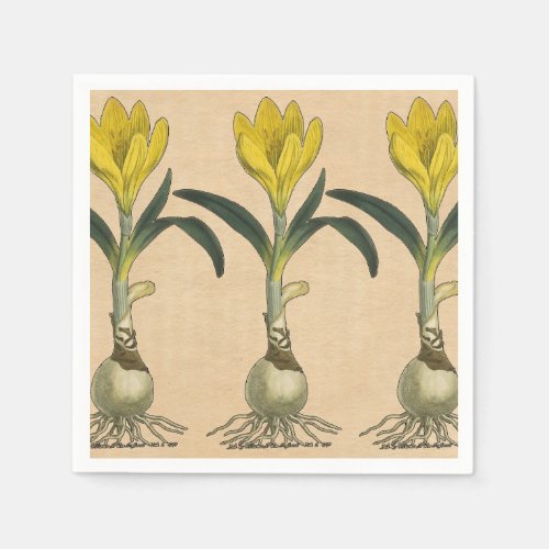 Amaryllis Tulip Botanical Garden Flower Paper Napkins