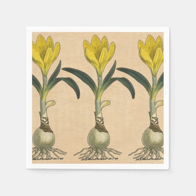 Amaryllis Tulip Botanical Garden Flower Paper Napkins (Front)