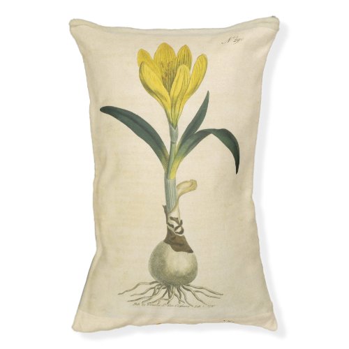 Amaryllis Tulip Botanical Garden Flower Pet Bed